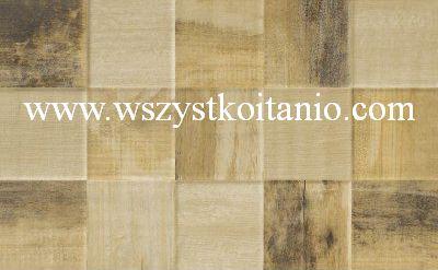 P�ytka �cienna Adaggio Struktura Inserto 25 x 40, Kwadro, p�ytki, kafelki, glazura, Parady�