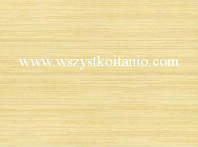 P�ytka �cienna Stokrotka giallo 25 x 33,3; Kwadro, p�ytki, glazura, kafelki, Parady�