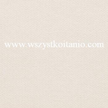 P�ytka pod�ogowa Bisette bia�y 33,3 x 33,3; Domino, p�ytki, kafelki, terakota, Tub�dzin