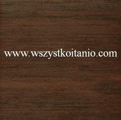 P�ytka pod�ogowa Sakura br�z 33,3 x 33,3; Domino, p�ytki, kafelki, terakota, Tub�dzin (Sb)