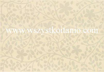 Dekor �cienny Flare 1; 25 x 36, Domino, p�ytki, glazura, kafelki, Tub�dzin