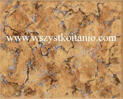 P�ytka �cienna San Remo 3; 20 x 25, Domino, p�ytki, glazura, kafelki, Tub�dzin