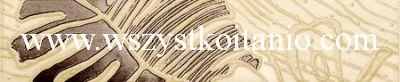 Listwa Toscana 1; 7,4 x 36, Domino, p�ytka, p�ytki, kafelki, glazura, flizy, Tub�dzin