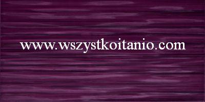 P�ytka �cienna Elida 2; 22,3 x 44,8; Domino, p�ytki, kafelki, glazura, Tub�dzin