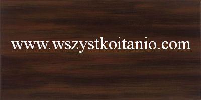 P�ytka �cienna Aceria br�z 22,3 x 44,8; Domino, p�ytki, glazura, kafelki, Tub�dzin