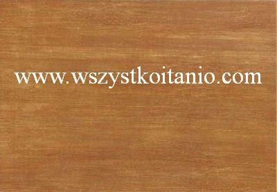 P�ytka �cienna Hoja pomara�cz 25 x 36, Domino, p�ytki, glazura, kafelki, Tub�dzin