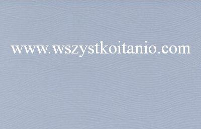P�ytka �cienna Alva niebieska 30 x 45 Opoczno, p�ytki, glazura, kafelki