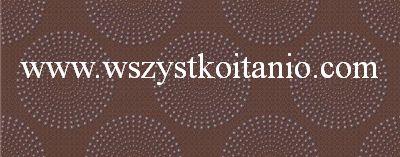 Dekor Fusion br�z Inserto 20 x 50, Opoczno, glazura, kafelki, p�ytka, brown