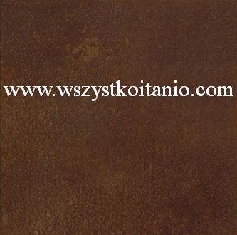 P�ytka pod�ogowa Oriano br�z 33,3 x 33,3; Domino, p�ytki, kafelki, terakota, Tub�dzin