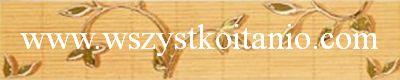 Listwa Matta orange Classic 5 x 25, Opoczno, p�ytki, glazura, kafelki