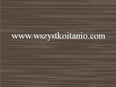 P�ytka �cienna Mi�ek brown 25 x 33,3; Kwadro, p�ytki, kafelki, glazura, Parady�