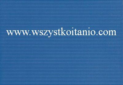 P�ytka �cienna Margot niebieski 25 x 36, Domino, p�ytki, glazura, kafelki, Tub�dzin