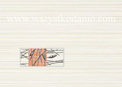 Dekor Organic orange classic centro 25 x 35, Opoczno, p�ytki, kafelki, glazura, p�ytka, pomara�cz
