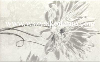 Dekor Andante grys Inserto B 25x 40, Kwadro, p�ytka, p�ytki, kafelki, glazura, flizy, Parady�