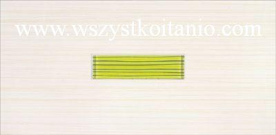 Dekor �cienny Linero zielone Glass Centro 29 x 59,3; Opoczno, p�ytki, kafelki, glazura, p�ytka