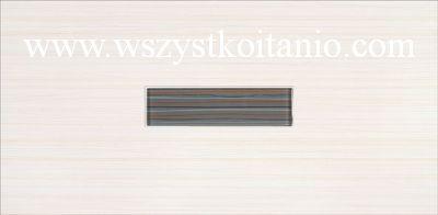 Dekor �cienny Linero szare Glass Centro 29 x 59,3; Opoczno, p�ytki, kafelki, glazura, p�ytka