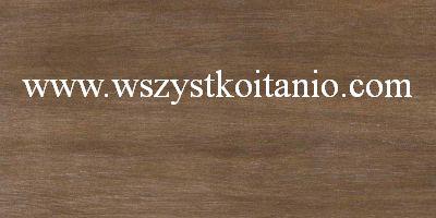 Gres Artwood br�z 30 x 60, Ceramika Gres, p�ytka, p�ytki, fliza, Nowa Gala