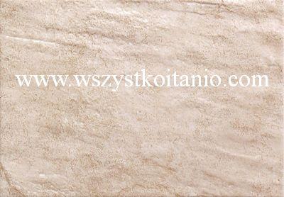 P�ytka �cienna Syria br�z 25 x 36, Domino, p�ytki, glazura, kafelki, Tub�dzin