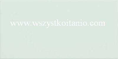 P�ytka �cienna Delice mint 22,3 x 44,8, Domino, p�ytki, glazura, kafelki, Tub�dzin