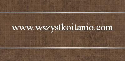 Dekor Ariva brown Inserto Metal 2; 29 x 59,3; Cersanit, p�ytka, p�ytki, kafelki, glazura, flizy