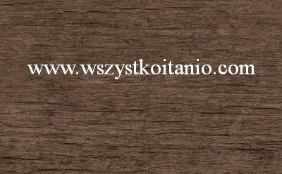 P�ytka �cienna Salta br�z 25 x 40, Cerrol, p�ytki, kafelki, Cer-rol