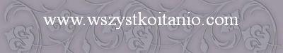 Listwa Legato grafit 4,8 x 25, Kwadro, p�ytki, kafelki, glazura, Parady�