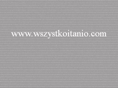 P�ytka �cienna Violino grys 25 x 33,3; Kwadro, p�ytki, kafelki, glazura, Parady�