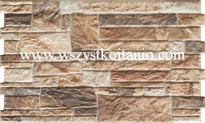 Kamie� Canella terra 30 x 49, Cerrad, p�ytka, p�ytki, 490 x 300 x 10