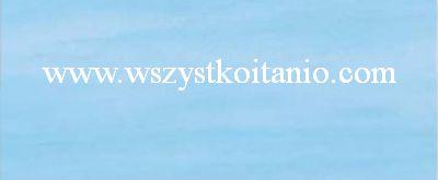 P�ytka �cienna Porto niebieskie 25 x 60, Cerrol, p�ytki, kafelki, glazura, Cer-rol, kolekcja Porto, seria Tall Ship (Rb)