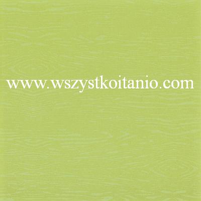 P�ytka pod�ogowa Venezio verde 33,3 x 33,3; Cersanit, p�ytki, kafelki, Opoczno, seria Venezia