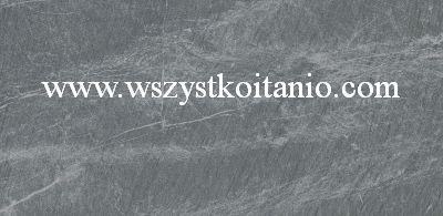 P�ytka G302 grey Matowa 29 x 59,3; Opoczno, p�ytka, gres, NT014-005-1, seria Nerthus