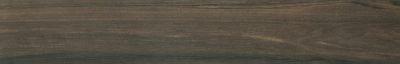 P�ytka Hasel brown 16 x 98,5; Parady�, p�ytki, kafelki, rektyfikowane (R-Mb)