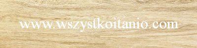 P�ytka Ash beige Struktura 14,8 x 59,8; Domino, p�ytki, kafelki, Tub�dzin