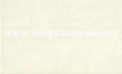 P�ytka �cienna Federica 2; 25 x 40, Stargres, p�ytki, kafelki, glazura, flizy
