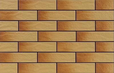 P�ytka elewacyjna Gobi rustico 6,5 x 24,5; Cerrad, kafelki, p�ytki, 245 x 65 x 6,5
