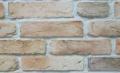 Stara ceg�a 27 x 6,5 x 1,5, skalna, Elkamino Dom, ceg�y, p�ytki