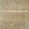 P�ytka pod�ogowa Fossile Slate oliwka 39,6 x 39,6, Opoczno, p�ytki, kafelki, terakota, gres, olive