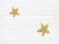 Dekor Stokrotka giallo 25 x 33,3; Kwadro, p�ytki, glazura, kafelki, p�ytka, Parady�