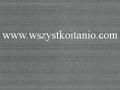 P�ytka �cienna Hortensja grafit 25 x 33,3; Kwadro, p�ytki, kafelki, glazura, Parady�