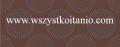 Dekor Fusion br�z Inserto 20 x 50, Opoczno, glazura, kafelki, p�ytka, brown
