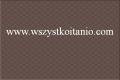 P�ytka �cienna Baricello brown 30 x 45, Opoczno, p�ytki, kafelki, glazura, br�z