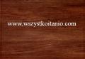 P�ytka �cienna Berberis br�z 25 x 36, Domino, p�ytki, glazura, kafelki, Tub�dzin