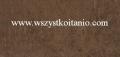 P�ytka �cienna Ariva brown 29 x 59,3; Cersanit, p�ytka, p�ytki, kafelki, glazura, flizy