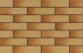 P�ytka elewacyjna Gobi rustico 6,5 x 24,5; Cerrad, kafelki, p�ytki, 245 x 65 x 6,5